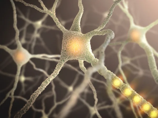 Interconnected neurons transferring information