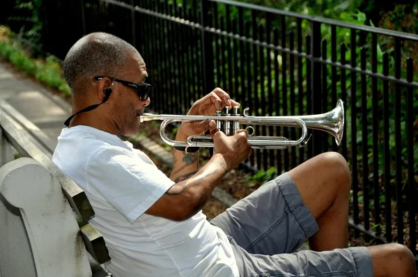 NYC: Man Playing Trumpet in Riverside Park