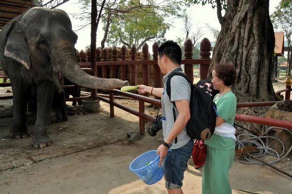 Ayutthaya, Thailand: Tourists Feeding Elephant