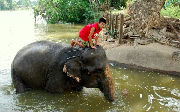 Ayutthaya, Thailand: Youth Riding Elephant
