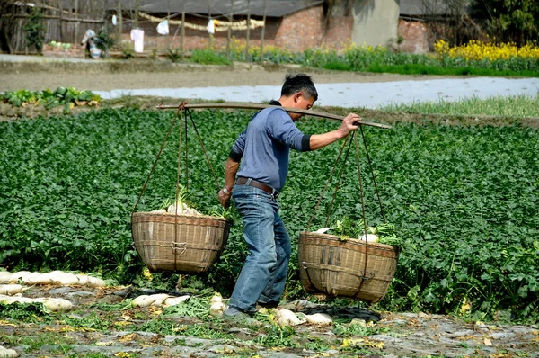 Pengzhou, China: Farmer Carrying Baskets in Field