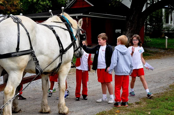 Lancaster, Pennsylvania:  Children Patting Horse