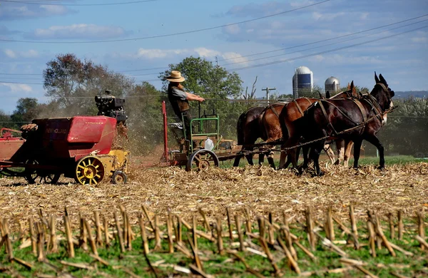 Lancaster County, PA: Amish