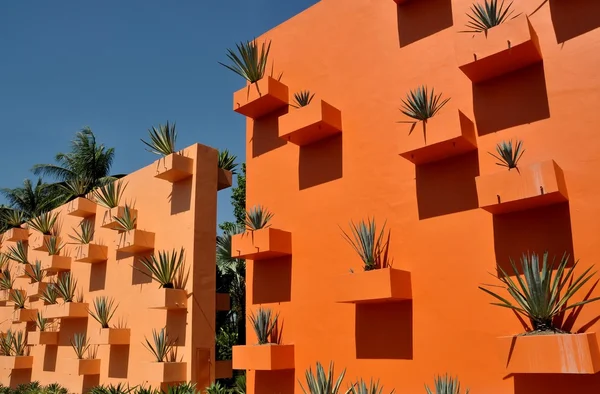 Pattaya, Thailand: Orange Wall with Century Plants