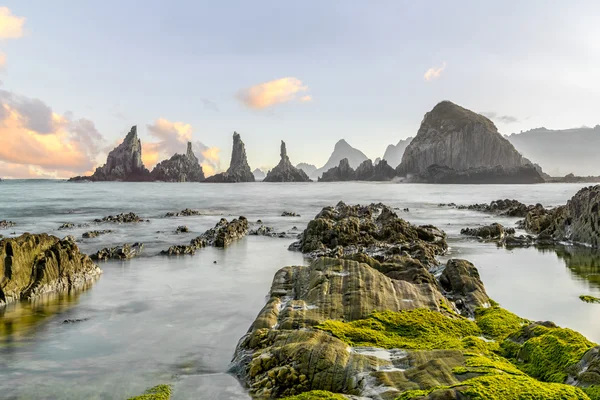 Sea rocks covered with moss in Gueirua beach, Asturias, Spain