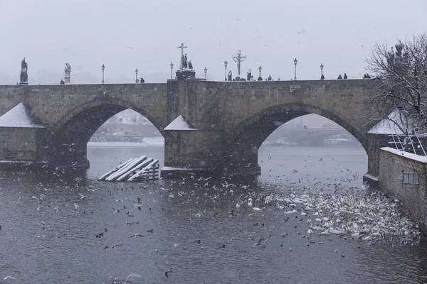 Snowy foggy Prague Charles Bridge with its baroque Sculptures, Czech Republic