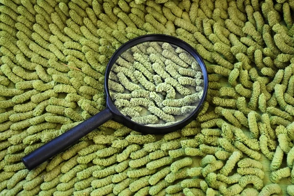 Carpet closeup dust with Magnifier lens