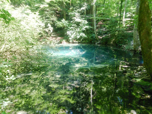 Forest river in mountains, nature landscape with trees and river