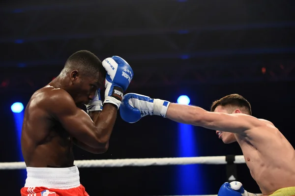 World series of boxing: Ukraine Otamans vs British Lionhe