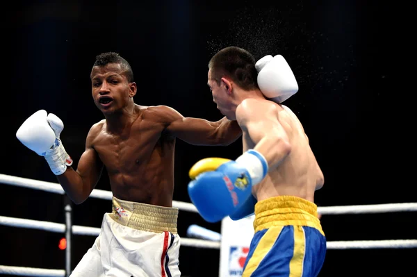 World series of boxing: Ukraine Otamans vs Cuba Domadores