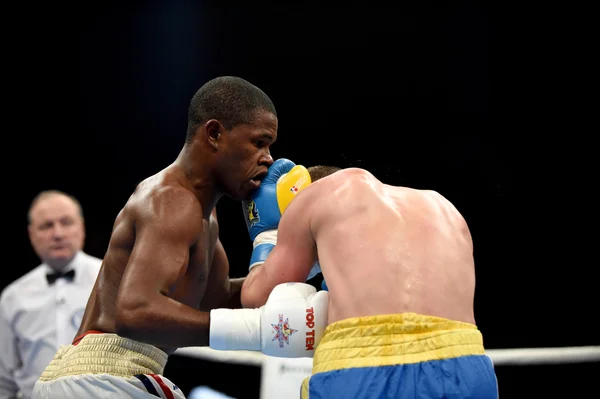 World series of boxing: Ukraine Otamans vs Cuba Domadores