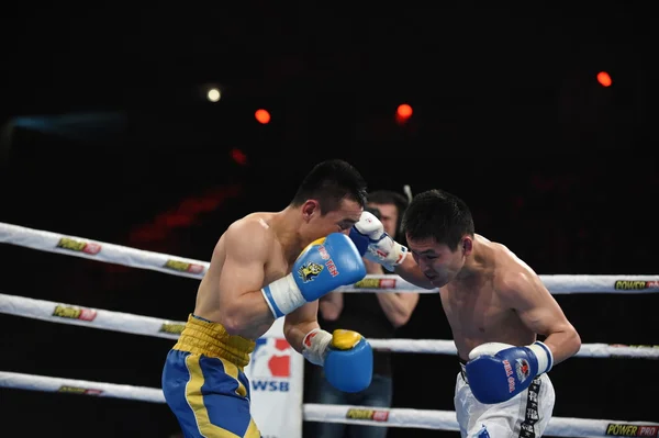 World series of boxing: Ukraine Otamans vs Russian Boxing Team