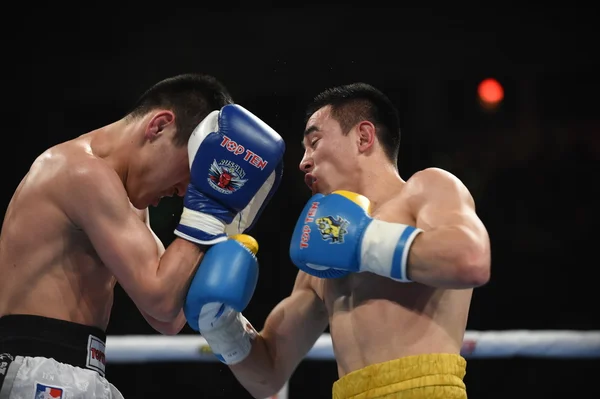 World series of boxing: Ukraine Otamans vs Russian Boxing Team