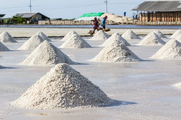 Farmers are harvesting salt in the salt fields.