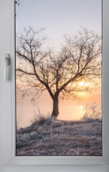 Landscape outside window