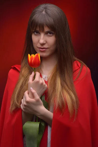Beautiful woman with red cloak in studio holding tulip