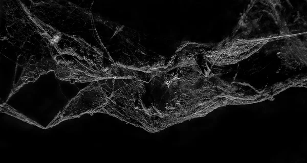 Abstract Cobweb on black background