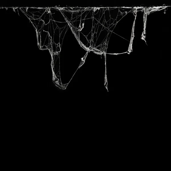 Horror cobweb or spider web in ancient thai house isolated on black