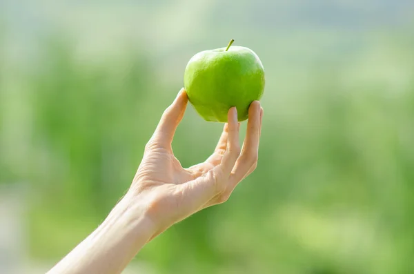 Vegetarians and fresh fruit and vegetables on the nature of the theme: human hand holding a green apple on a background of green grass