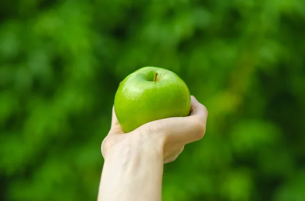 Vegetarians and fresh fruit and vegetables on the nature of the theme: human hand holding a green apple on a background of green grass