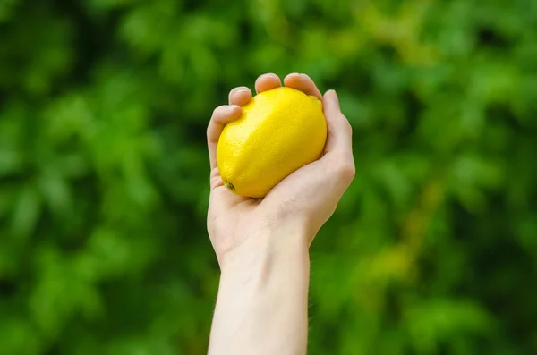 Vegetarians and fresh fruit and vegetables on the nature of the theme: human hand holding a lemon on a background of green grass