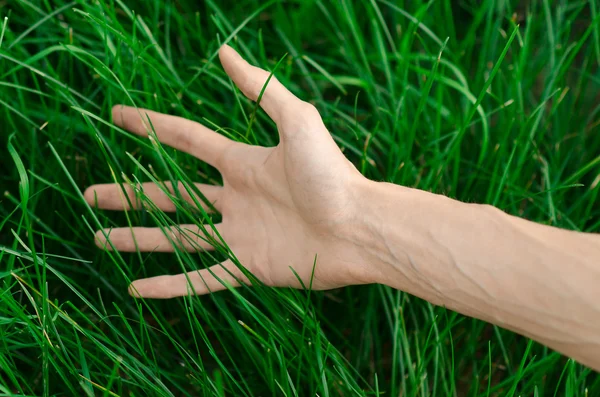 Spring and relaxation theme: the human hand touches a young fresh green grass in the garden