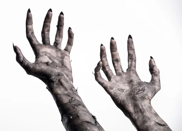 Black hand of death, the walking dead, zombie theme, halloween theme, zombie hands, white background, isolated, hand of death, mummy hands, the hands of the devil, black nails, hands monster