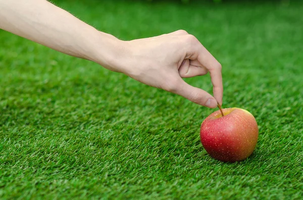 Vegetarians and fresh fruit and vegetables on the nature of the theme: human hand holding a red apple on a background of green grass