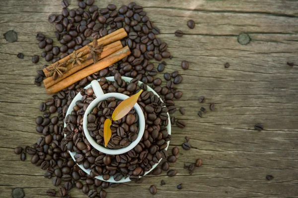 Coffee cup and coffee bean on a wooden table and Coffee plant