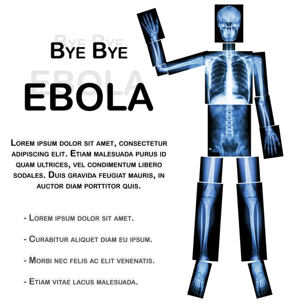 Good Bye EBOLA. (Human bone wave the hand) (Whole body : head neck spine shoulder arm elbow forearm wrist hand finger thorax heart lung back abdomen pelvis hip thigh leg knee foot ankle heel)