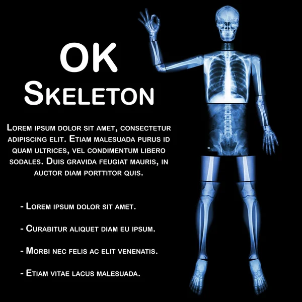 OK skeleton (Human bone raise the hand and OK sign) (Whole body : head neck spine shoulder arm elbow forearm wrist hand finger thorax heart lung back abdomen pelvis hip thigh leg knee foot ankle heel)