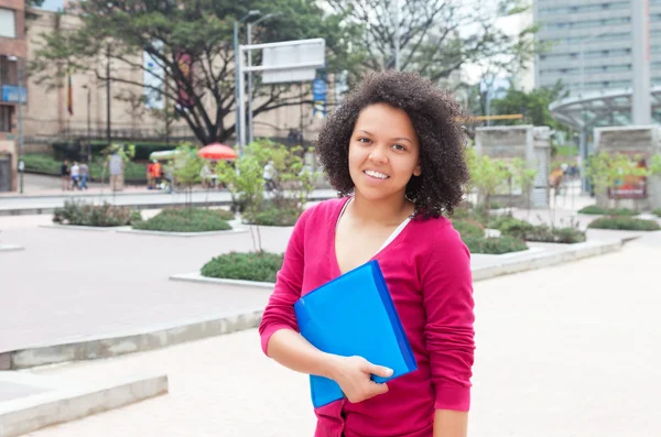 African american female student walking in the city