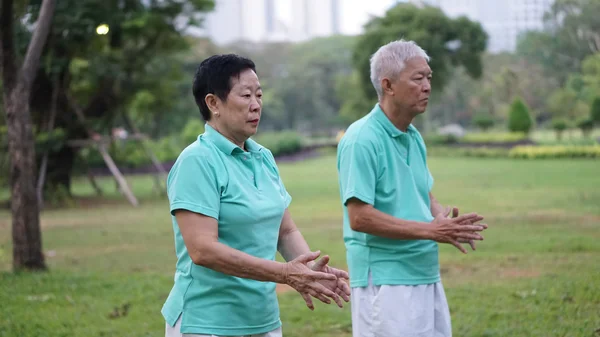 Asian Senior Elderly couple Practice Taichi, Qi Gong exercise ou
