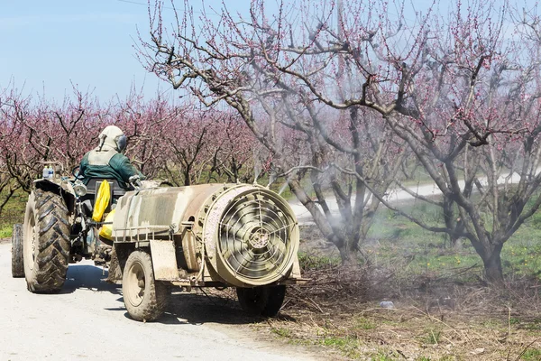 Farmer with tractor using a air blast sprayer