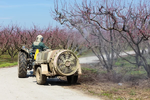 Farmer with tractor using a air blast sprayer