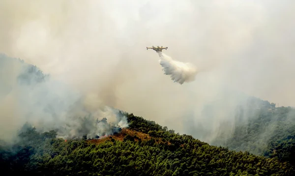 Fire in forest areas in Viotia in Central Greece