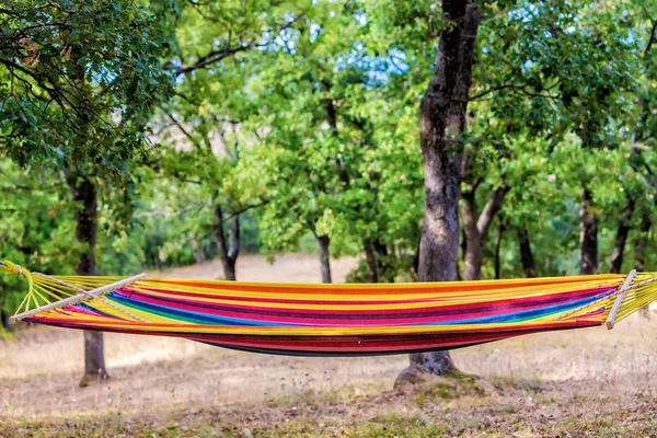 A most beautiful place in nature, hammock in green forest, outdo