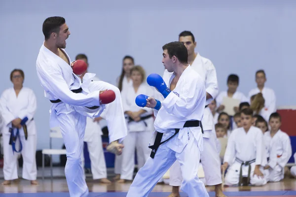 Demonstration  of Japanese traditional martial arts