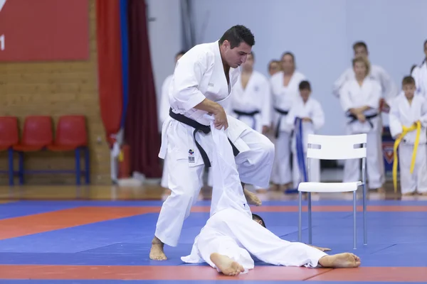 Demonstration  of Japanese traditional martial arts