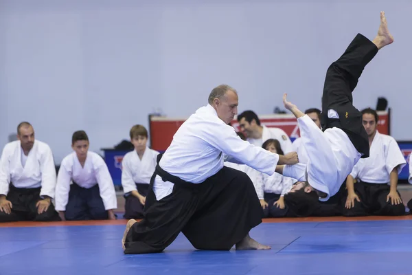 Demonstration  of Japanese traditional martial arts