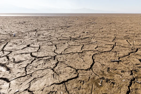 Dry lake bed with natural texture of cracked clay in perspective