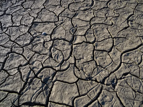 Dry lake bed with natural texture of cracked clay in perspective