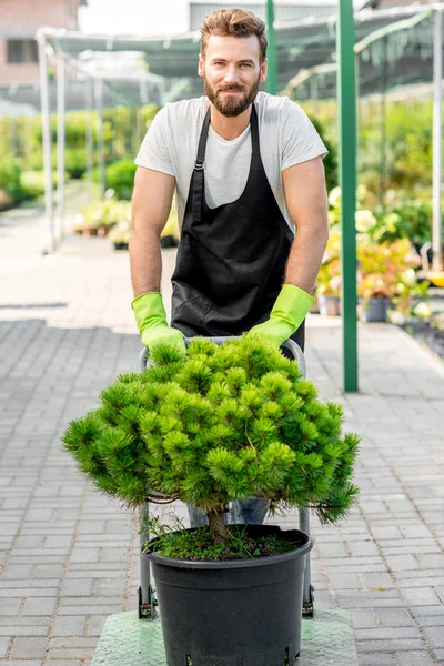 Delivery in the flowers shop