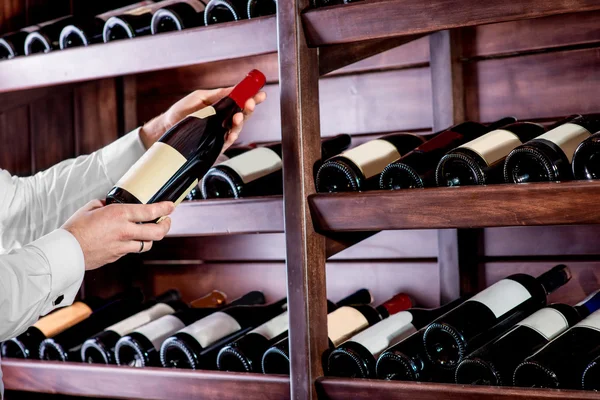 Choosing a bottle of wine at the wine cellar