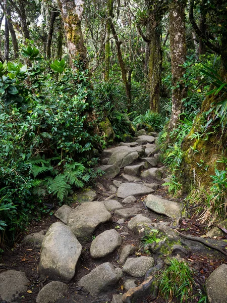 Mount Kinabalu Trail, Sabah, Malaysia