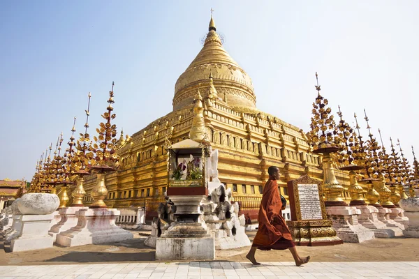 Buddhist Monk Walking Around Shwezigon Pagoda in Nyaung-U, Bagan, Myanmar (Burma)