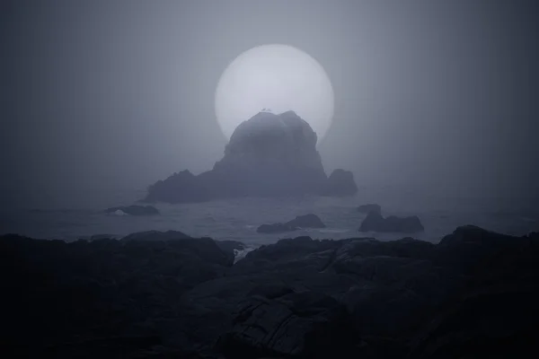 Moonlit foggy sea coast
