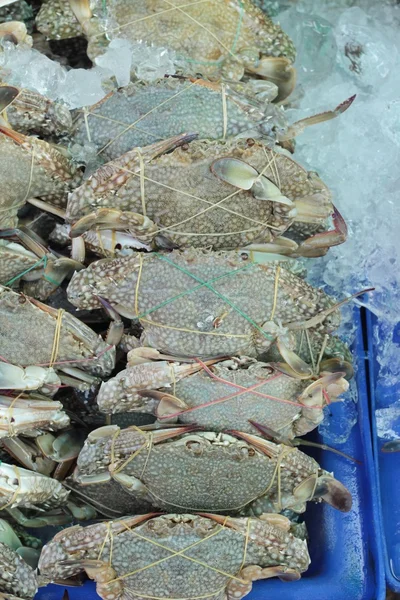 Fresh sea crab for cooking in market