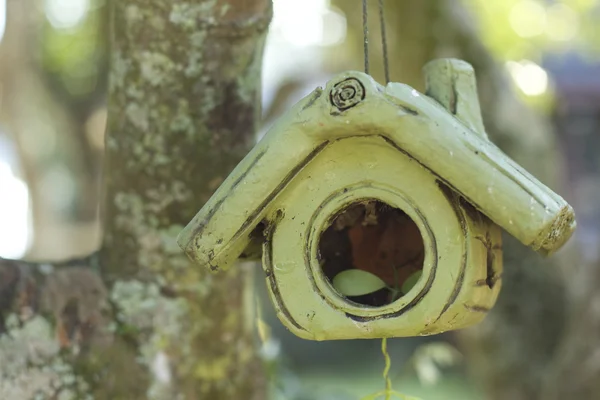 Bird house in the nature