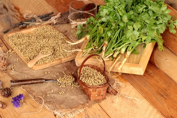 Dry coriander seeds and fresh coriander green.